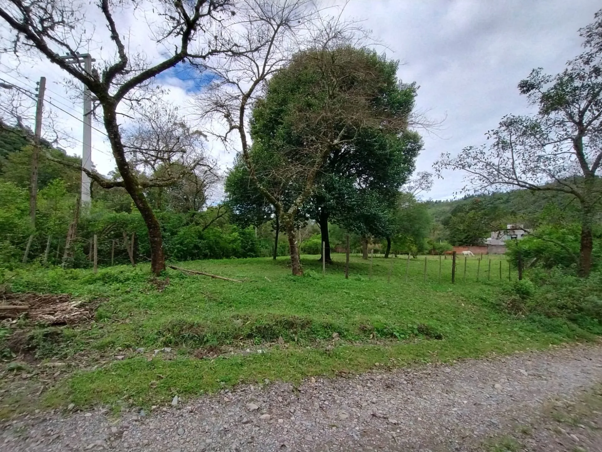 VENTA TERRENO EN ESQ. 1.054,76 M2 LOS NOGALES YALA foto 4