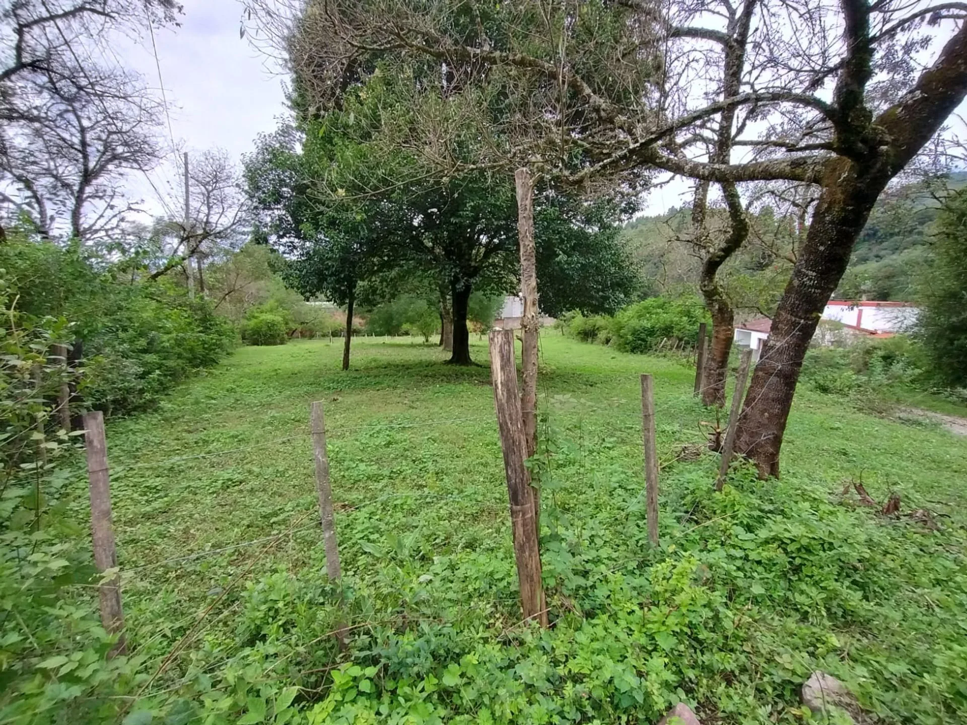 VENTA TERRENO EN ESQ. 1.054,76 M2 LOS NOGALES YALA foto 5