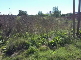 Lotes en Venta en Paso del Rey, con Facilidades de Cuotas foto 5