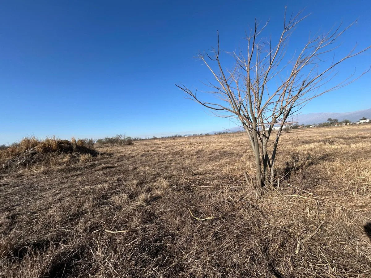 TERRENO EN VENTA, URBANIZACION EL RECODO foto 3