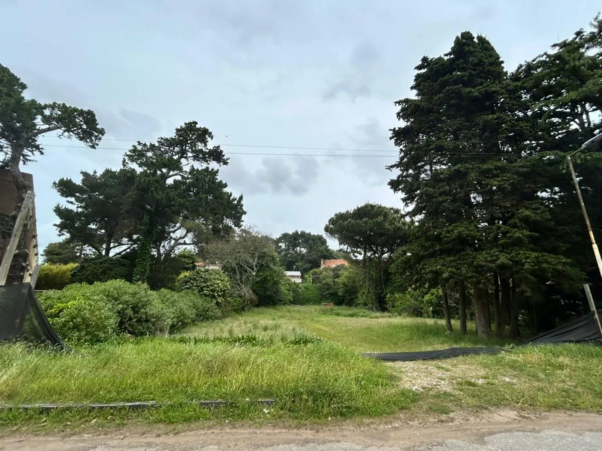 VENTA LOTE MULTIFAMILIAR PINAMAR CENTRO foto 3
