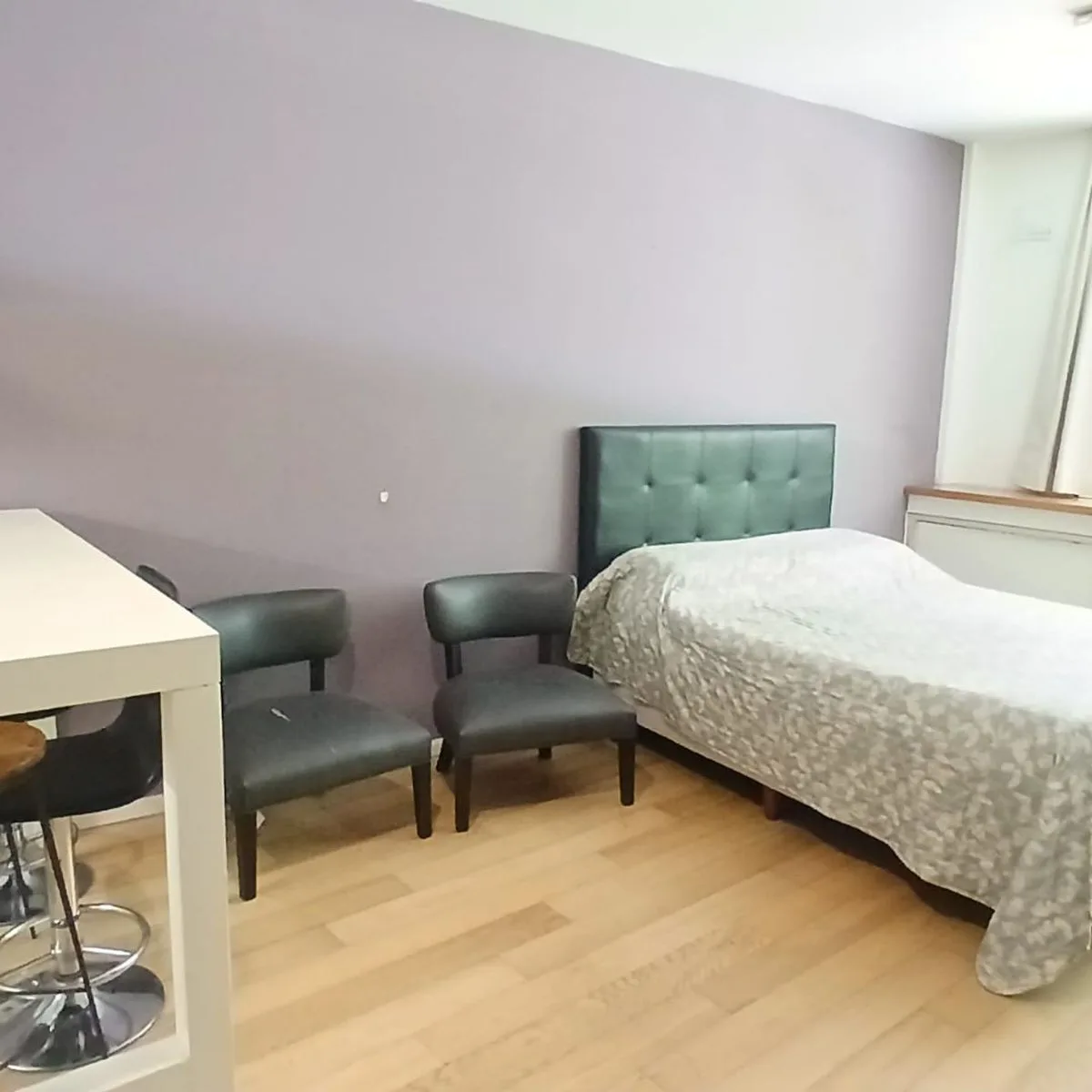 VENTA DEPTO MONOAMBIENTE BELGRANO AMENITIES foto 3