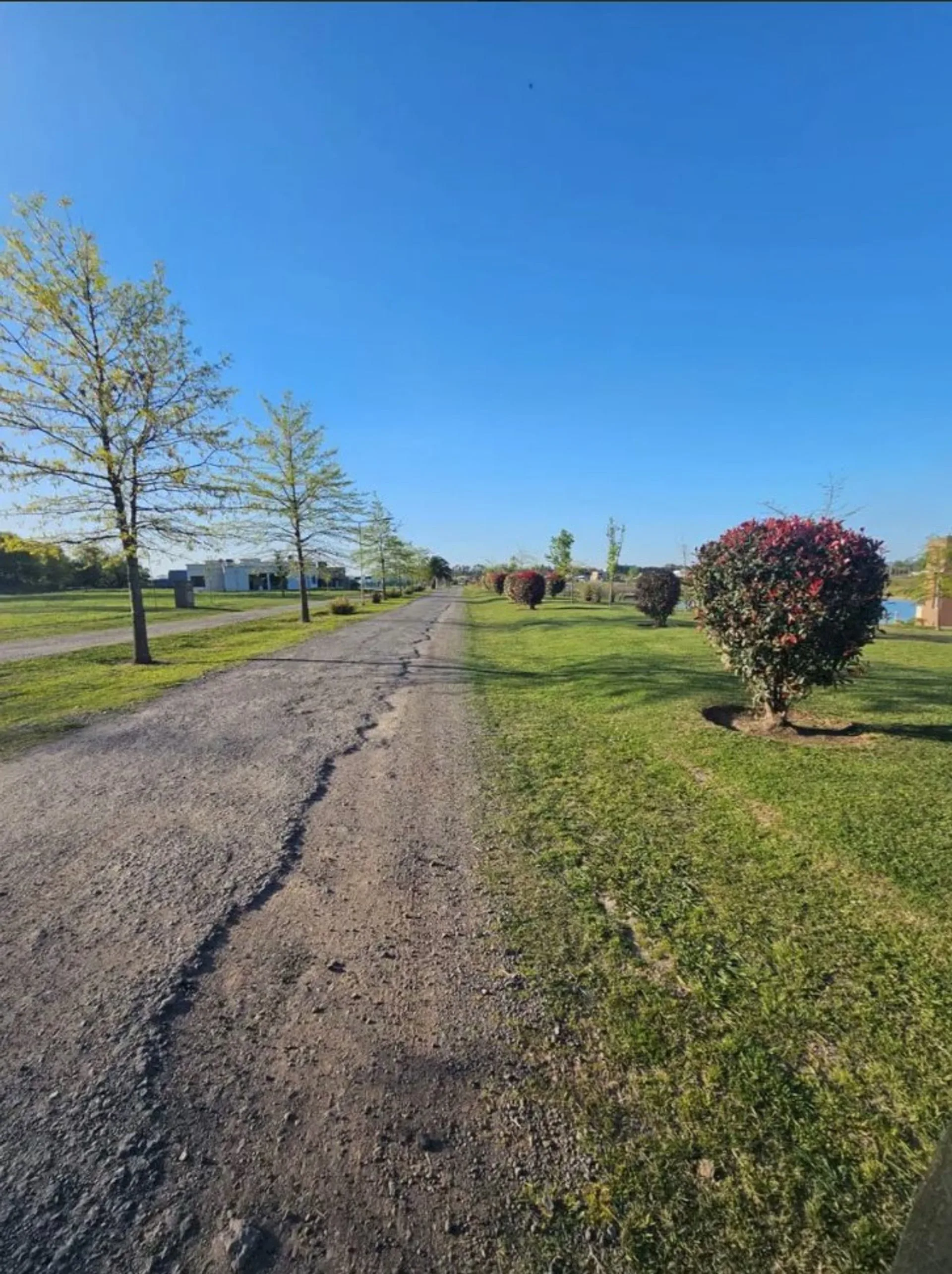 Venta lote en barrio cerrado Los Juncos Lujan foto 5