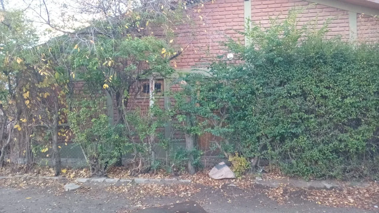 SE VENDE EN EL CENTRO DE EL MAITÉN foto 4
