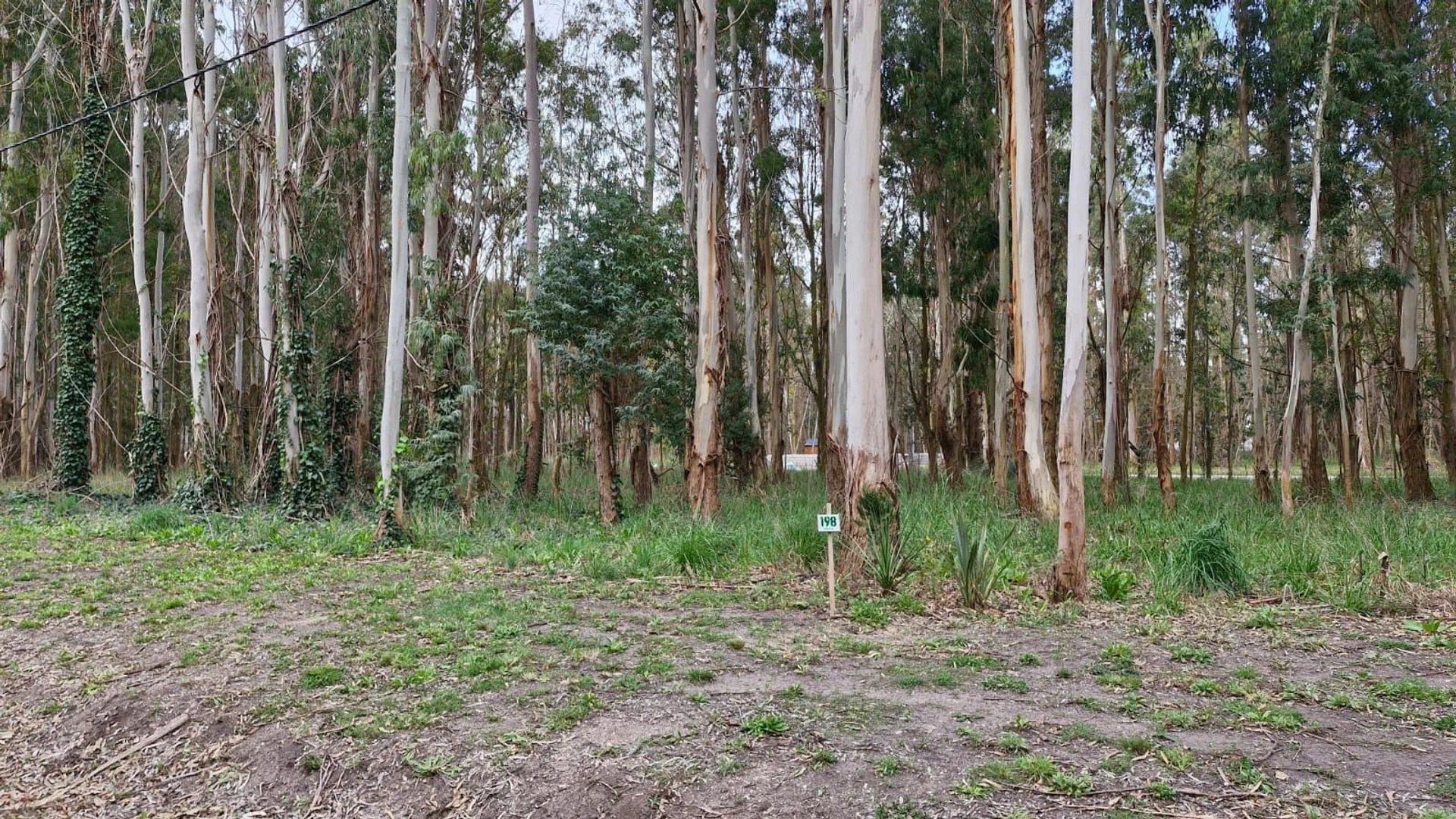VENTA LOTE BARRIO SUSTENTABLE TIPANTU 1058 MTS foto 5