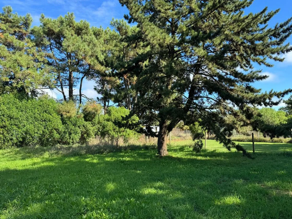 LOTE EN VENTA EN LA CALETA OPORTUNIDAD foto 2