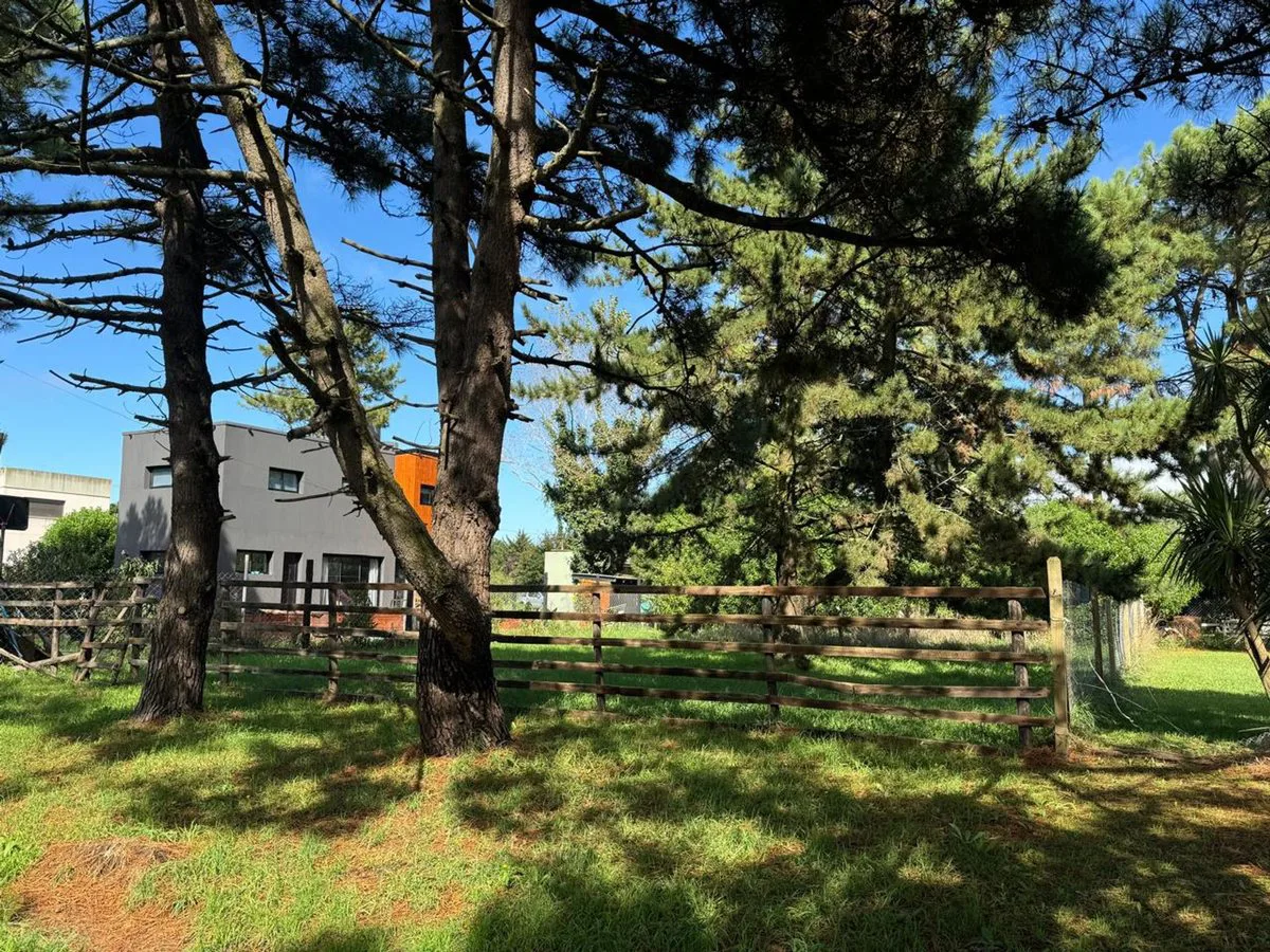 LOTE EN VENTA EN LA CALETA OPORTUNIDAD foto 3
