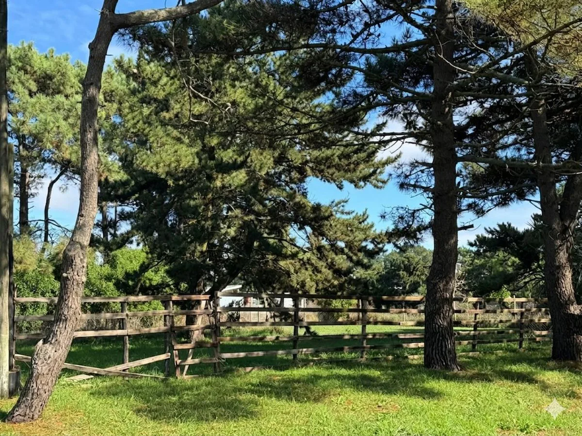LOTE EN VENTA EN LA CALETA OPORTUNIDAD foto 4