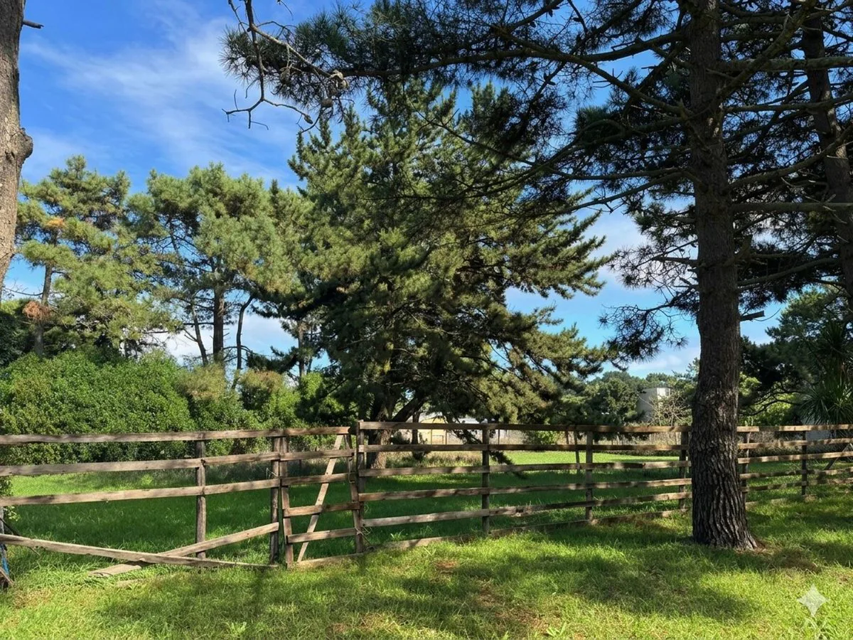 LOTE EN VENTA EN LA CALETA OPORTUNIDAD foto 5