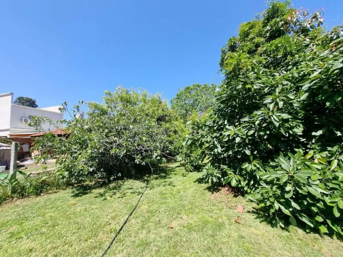 VENTA CASA EN MONTE GRANDE CON AMPLIO TERRENO foto 3