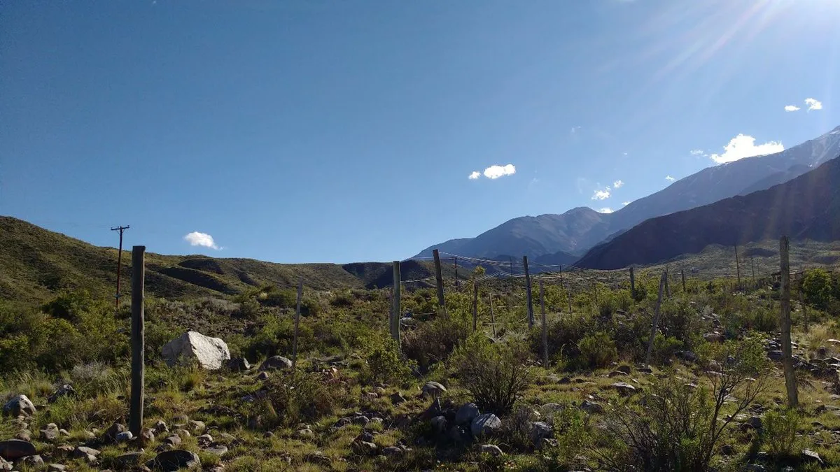 LOTE EN VENTA POTRERILLOS MENDOZA foto 3