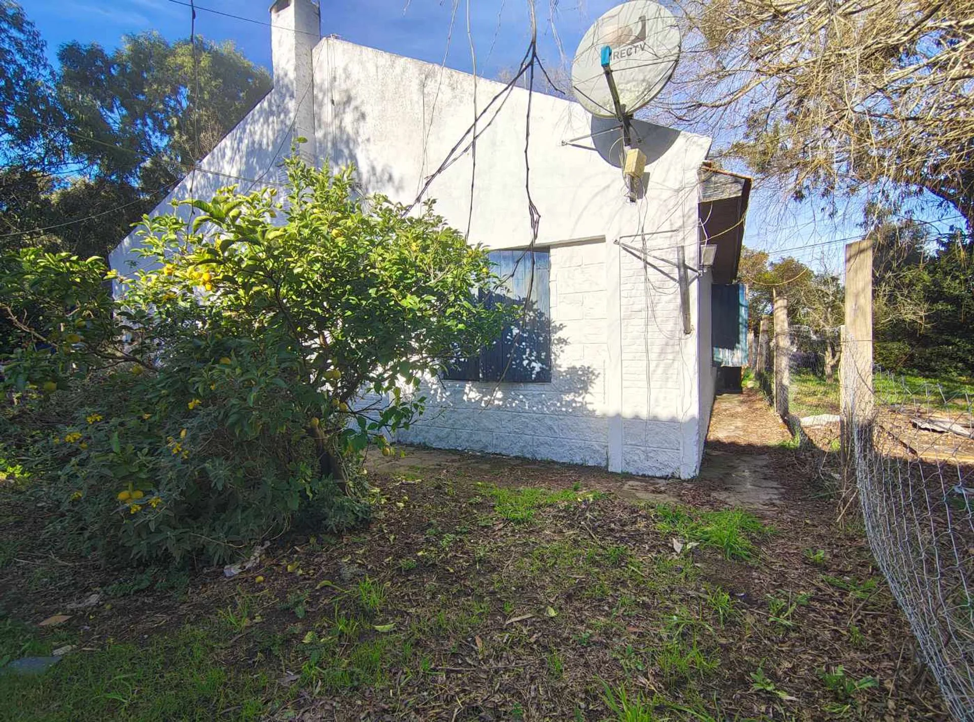 VENTA EN BLOCK: 4 DPTOS 2 GALPONES CASA Y 2 LOTES foto 3