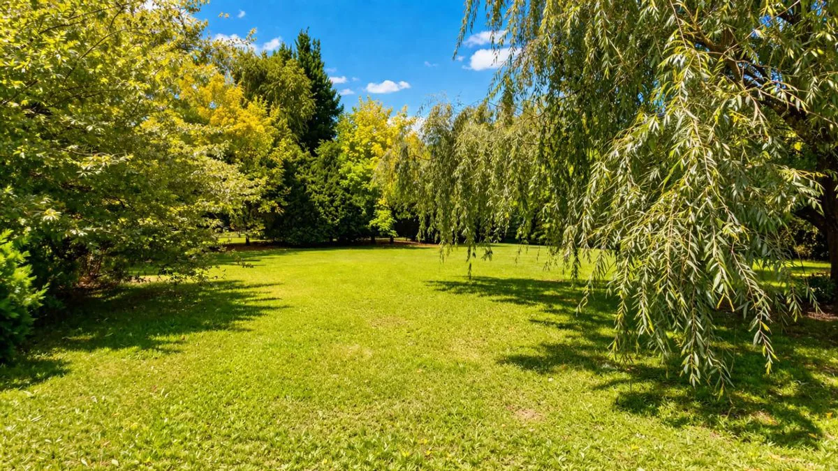 VENTA CASA 3 AMB SOBRE LOTE 2400 MTS-CHASCOMÚS foto 4