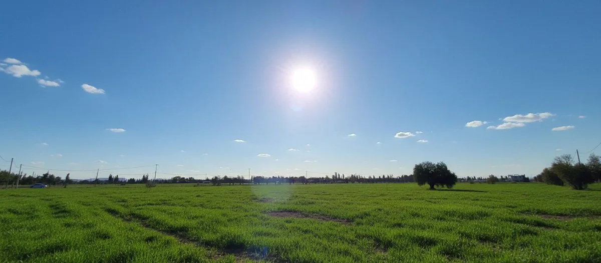 VENTA GRAN TERRENO EN LAS PAREDES, SAN RAFAEL foto 3