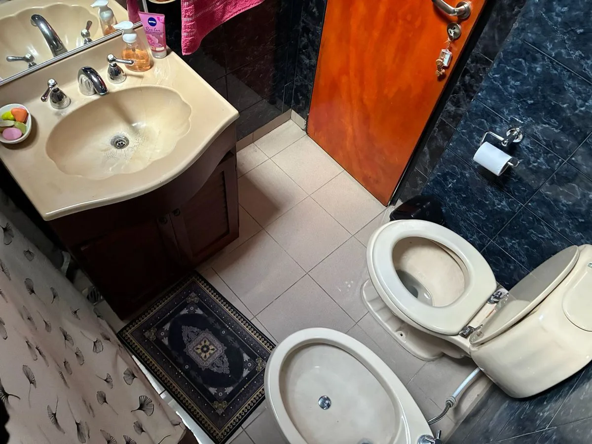 CASA 3 DORM + DEPTO 2 AMB. LOTE 330MTS P.NOGUES foto 5