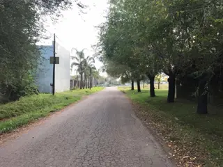 Lote De 437 M2 Con Pileta A Metro De Colectora!! foto 2