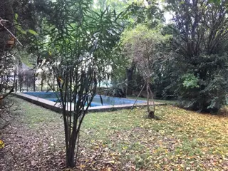 Lote De 437 M2 Con Pileta A Metro De Colectora!! foto 4