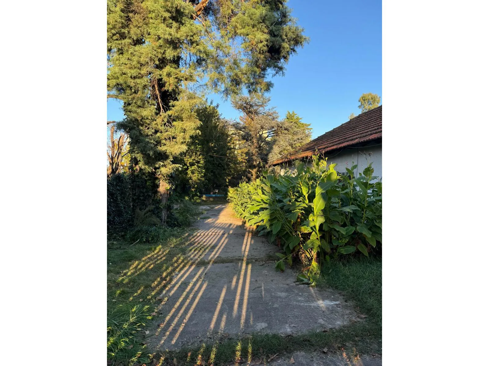Casa Quinta ESCUCHA OFERTA- APTO CREDITO BANCARIO foto 3