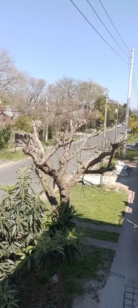 ALQUILER DPTO EN PH 2 AMBIENTES-BELLA VISTA, SAN MIGUEL