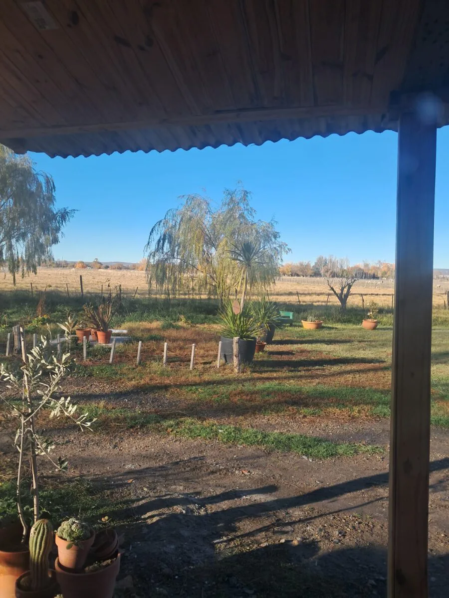 Chacra de 5 Has sobre Ruta 7 - Zona Bethesda (Gaiman/Dolavon) - Con Gas y Riego - Acepta Permuta en Trelew foto 5