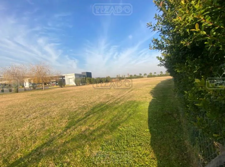 Lote en CARPINCHOS - NORDELTA foto 5