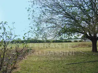 MONTE GRANDE (PART.ESTEBAN ECHEVERRIA) LINDA CHACRA 6Has. OPORTUNIDAD RENTABLE  .CERCA DE TODO. IDEAL PROYECTO AGROPECUARIO/GUARDERIA EQUINA/GRANJA/PS foto 2
