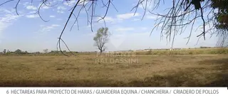 MONTE GRANDE (PART.ESTEBAN ECHEVERRIA) LINDA CHACRA 6Has. OPORTUNIDAD RENTABLE  .CERCA DE TODO. IDEAL PROYECTO AGROPECUARIO/GUARDERIA EQUINA/GRANJA/PS foto 5