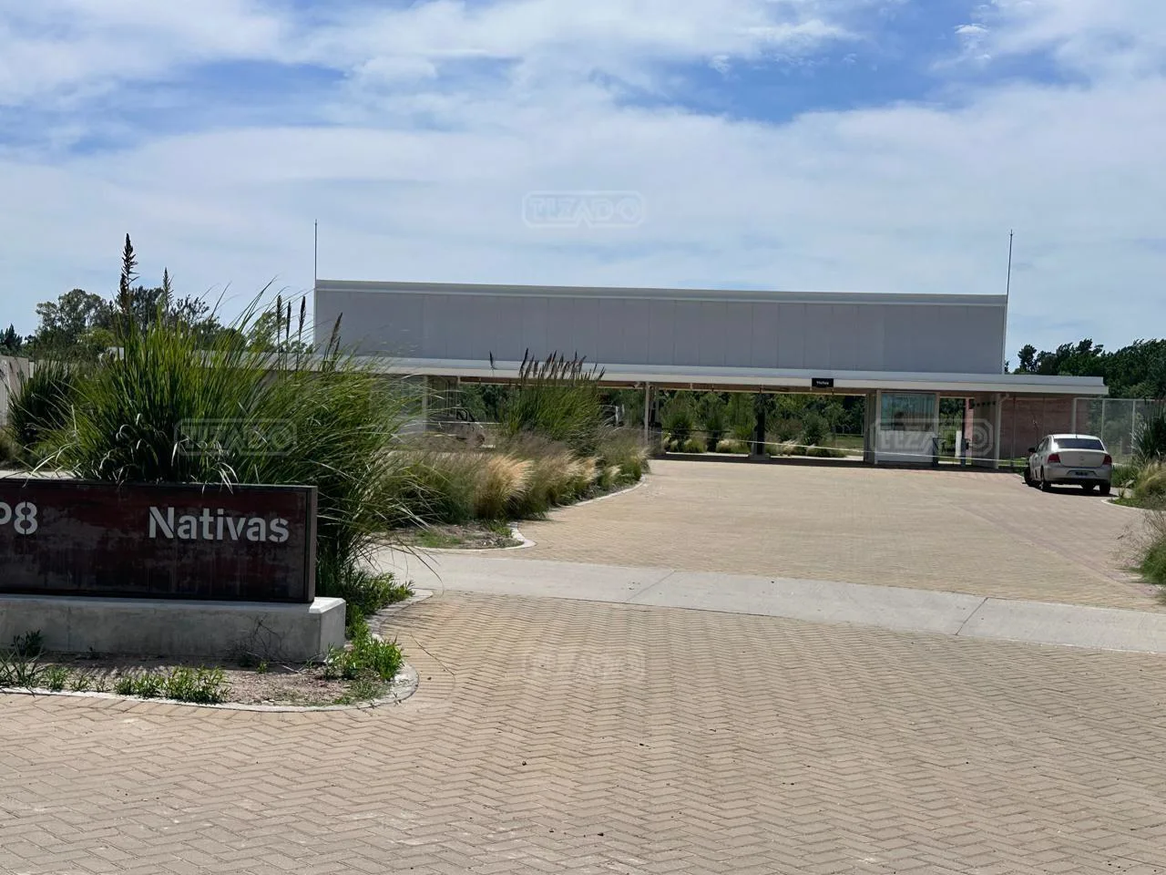 Nativas 100 foto 3