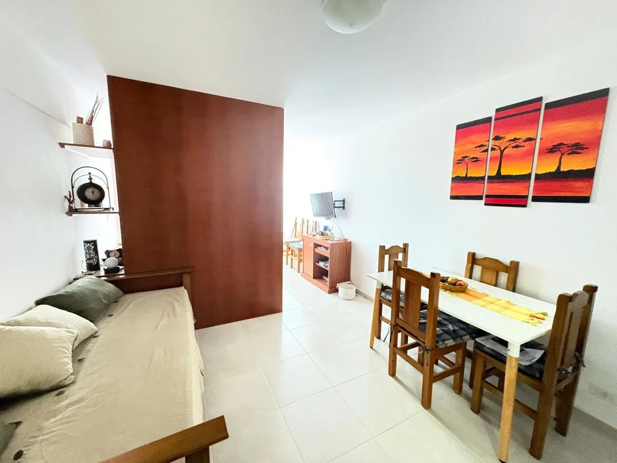 DEPARTAMENTO MONOAMBIENTE + COCHERA MIRAMAR foto 2