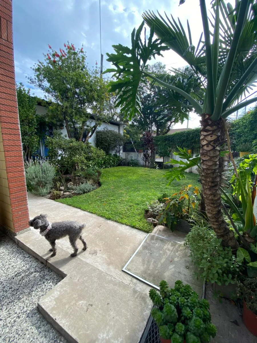 Ituzaingo Norte Casa 5 ambientes foto 2