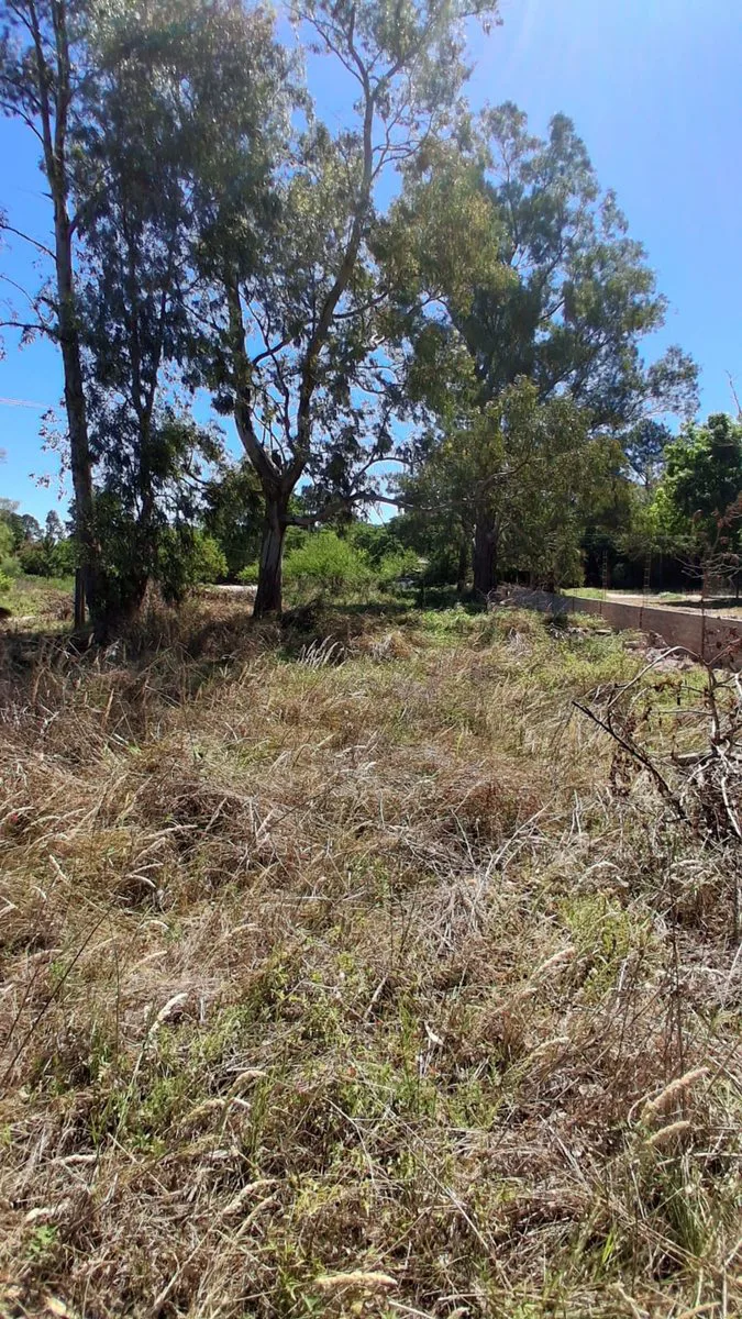 VENTA Terreno en san José del Rincon foto 2