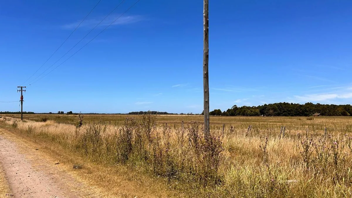 VENTA LOTES 3600M2 ESTACION CAMET, LA TRINIDAD foto 2