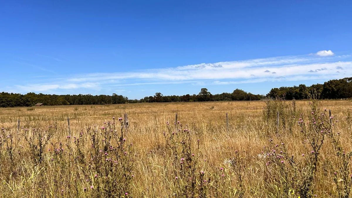 VENTA LOTES 3600M2 ESTACION CAMET, LA TRINIDAD foto 4