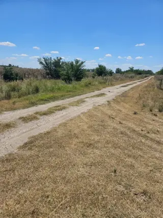 Excelente oportunidad 2 fracciones de campo en la localidad deEnrique  Fynn.- foto 2