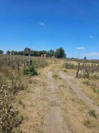 Excelente oportunidad 2 fracciones de campo en la localidad deEnrique  Fynn.- foto 3