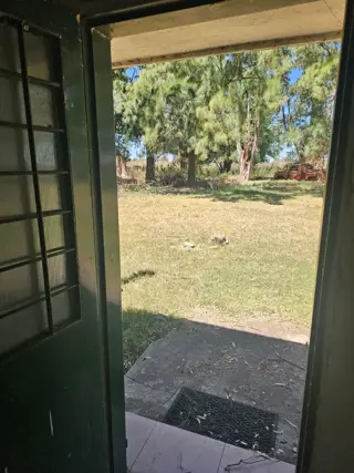 Excelente oportunidad 2 fracciones de campo en la localidad deEnrique  Fynn.- foto 4