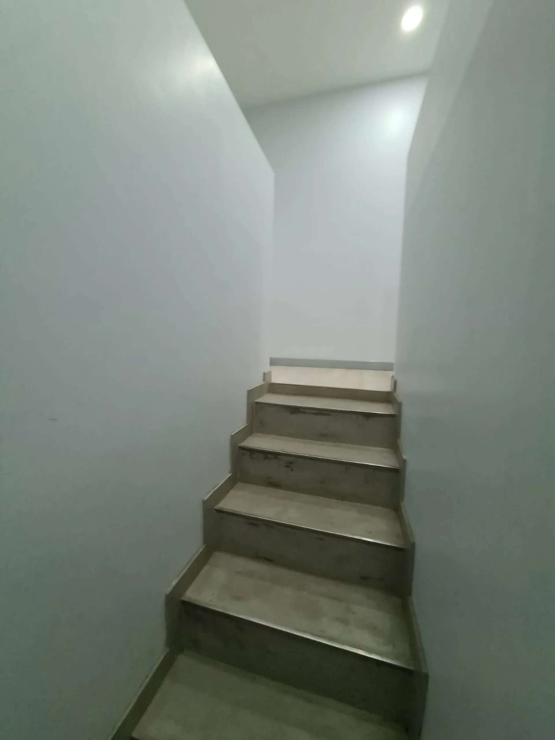 OFICINA LOCAL COMERCIAL EN ALQUILER, PLOTTIER foto 5