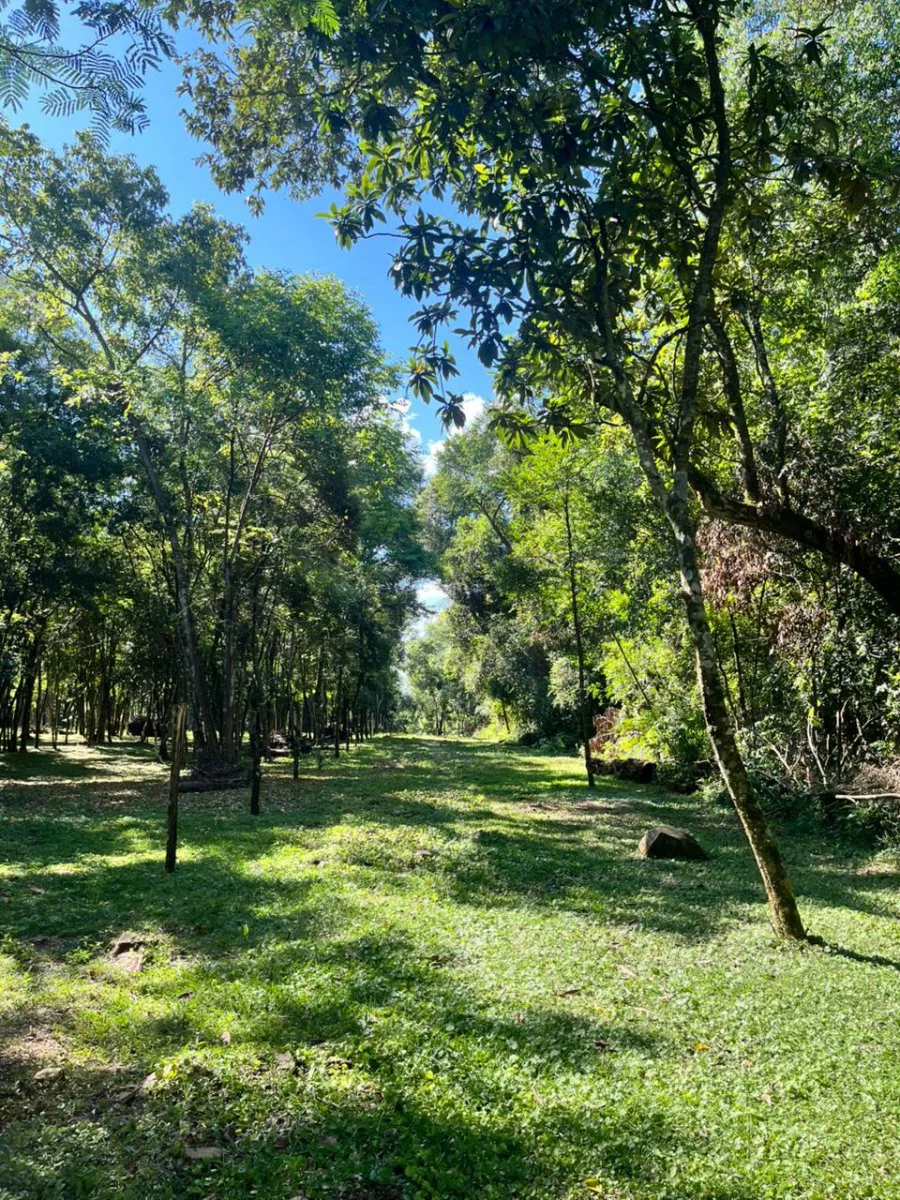 OPORTUNIDAD TERRENO VENTA MISIONES IDEAL EMPRENDIMIENTO CABAÑAS