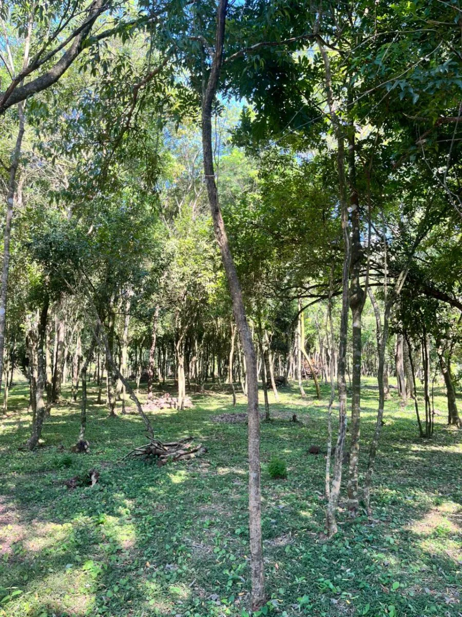 OPORTUNIDAD TERRENO VENTA MISIONES IDEAL EMPRENDIMIENTO CABAÑAS foto 3