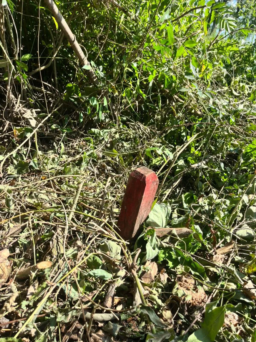 OPORTUNIDAD TERRENO VENTA MISIONES IDEAL EMPRENDIMIENTO CABAÑAS foto 4