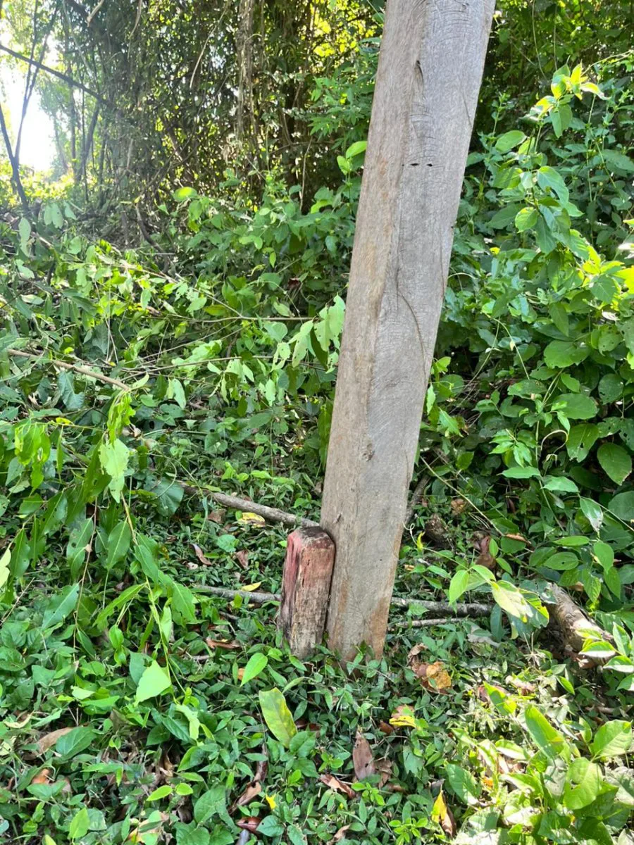 OPORTUNIDAD TERRENO VENTA MISIONES IDEAL EMPRENDIMIENTO CABAÑAS foto 5