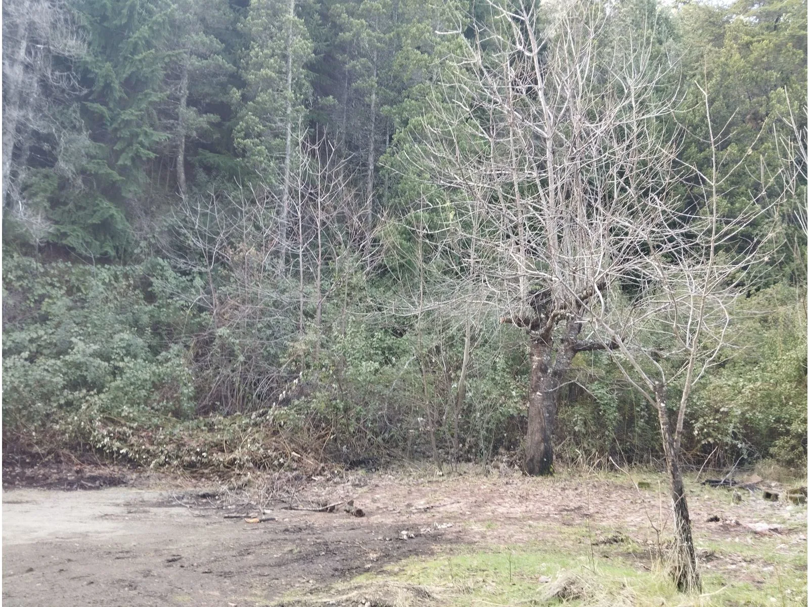 LAGO PUELO (B Villa del Lago), lote de 1.884 m2 foto 2