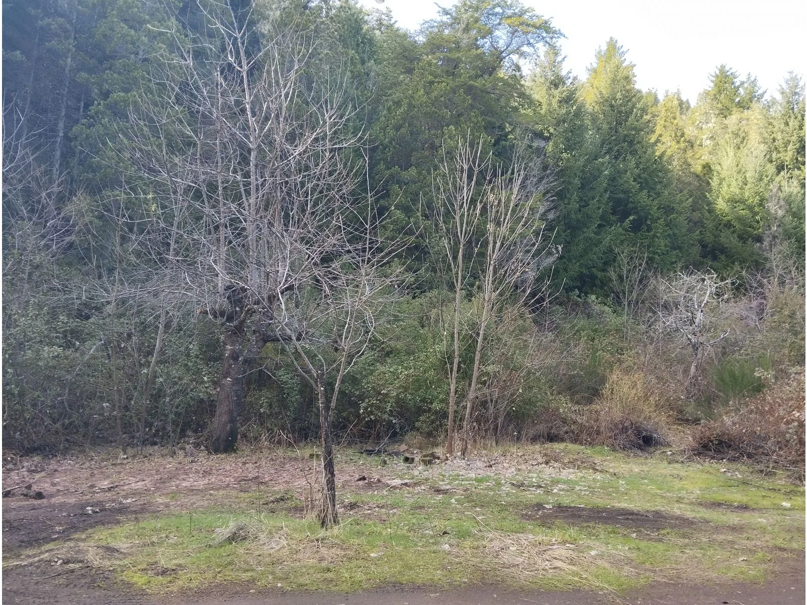 LAGO PUELO (B Villa del Lago), lote de 1.884 m2 foto 3