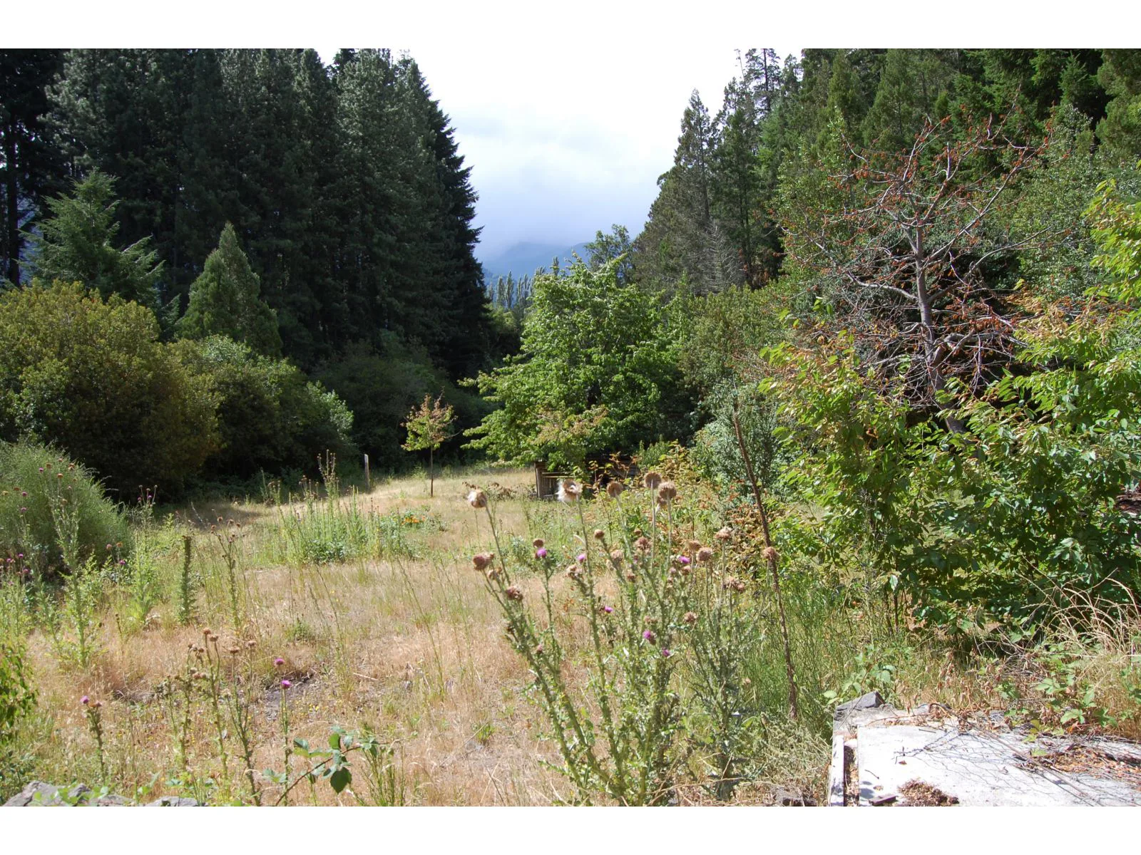 LAGO PUELO (B Villa del Lago), lote de 1.884 m2 foto 4