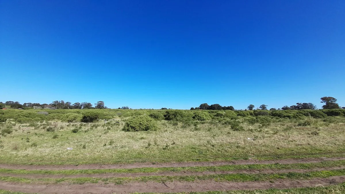 VENTA LOTE 45.000m2 ZONA SUR MAR DEL PLATA foto 5
