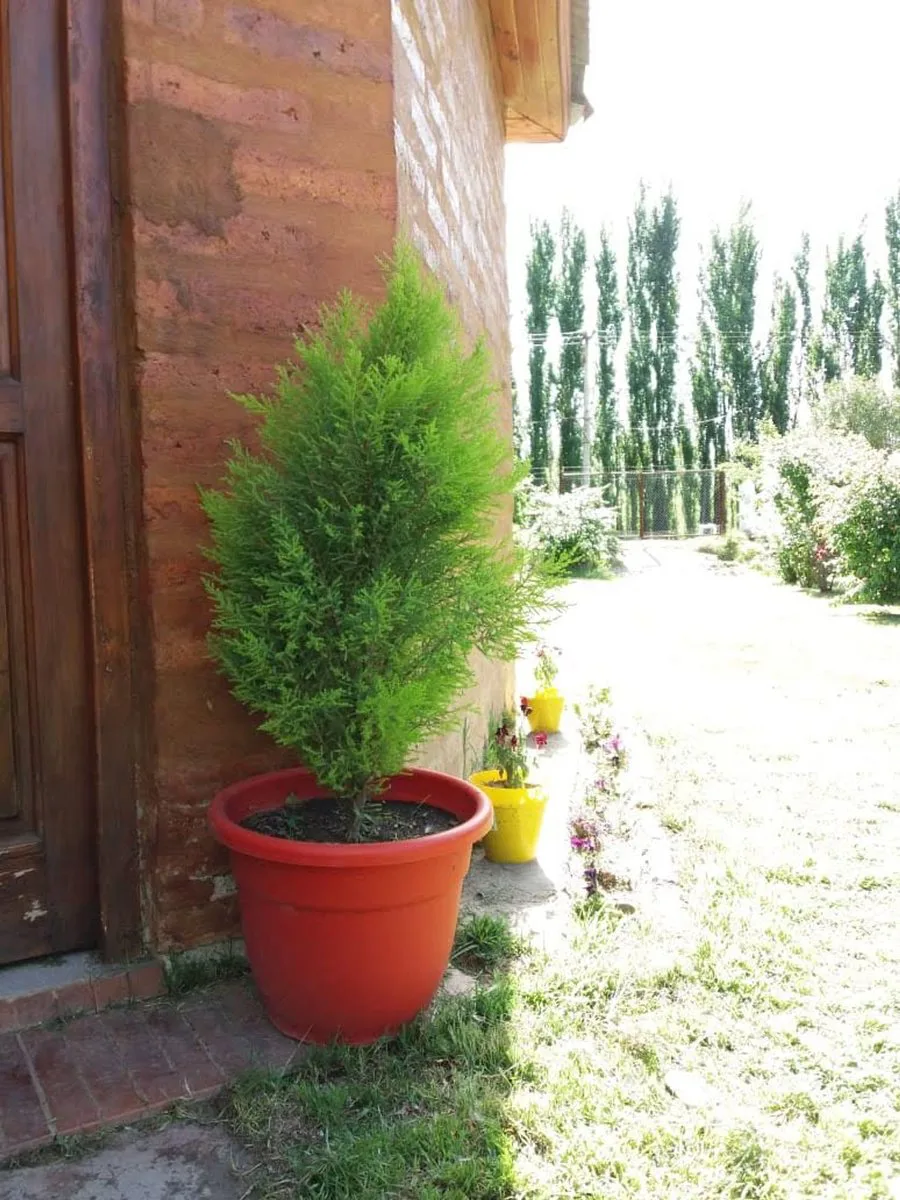 VENTA CASA QUINTA  Villa Regina foto 5