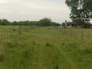 Campo en venta 12 Has foto 4