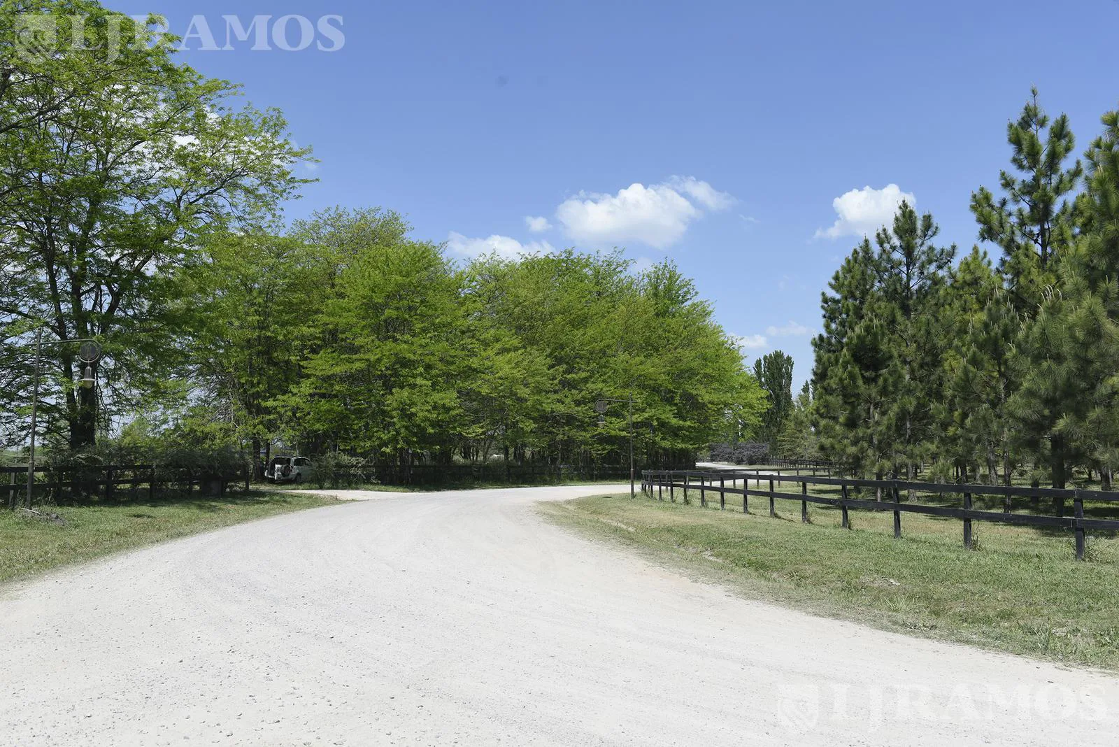Terreno en La Dolfina Polo Ranch - PG foto 5