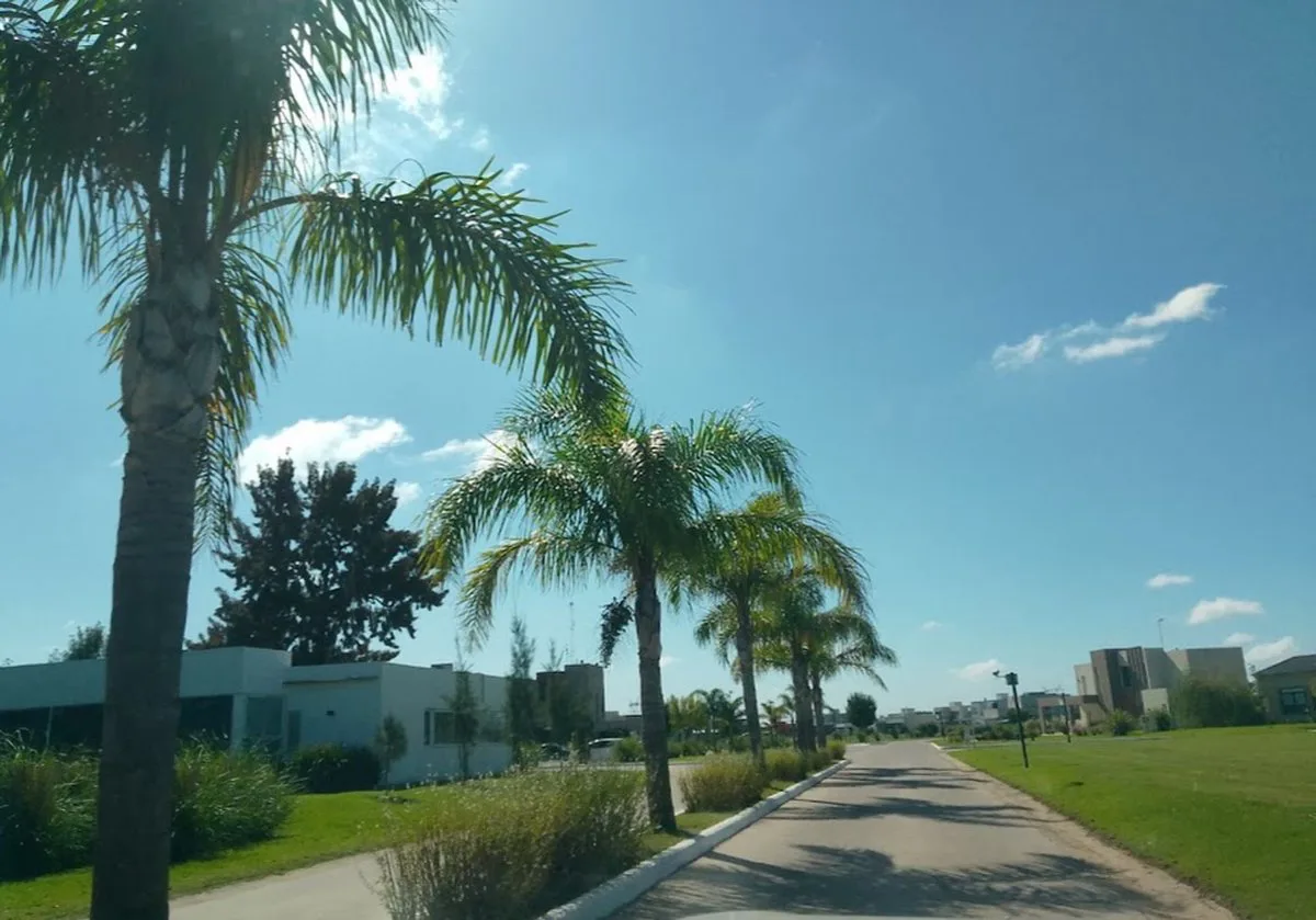 LOTE VENTA LA ALAMEDA foto 2