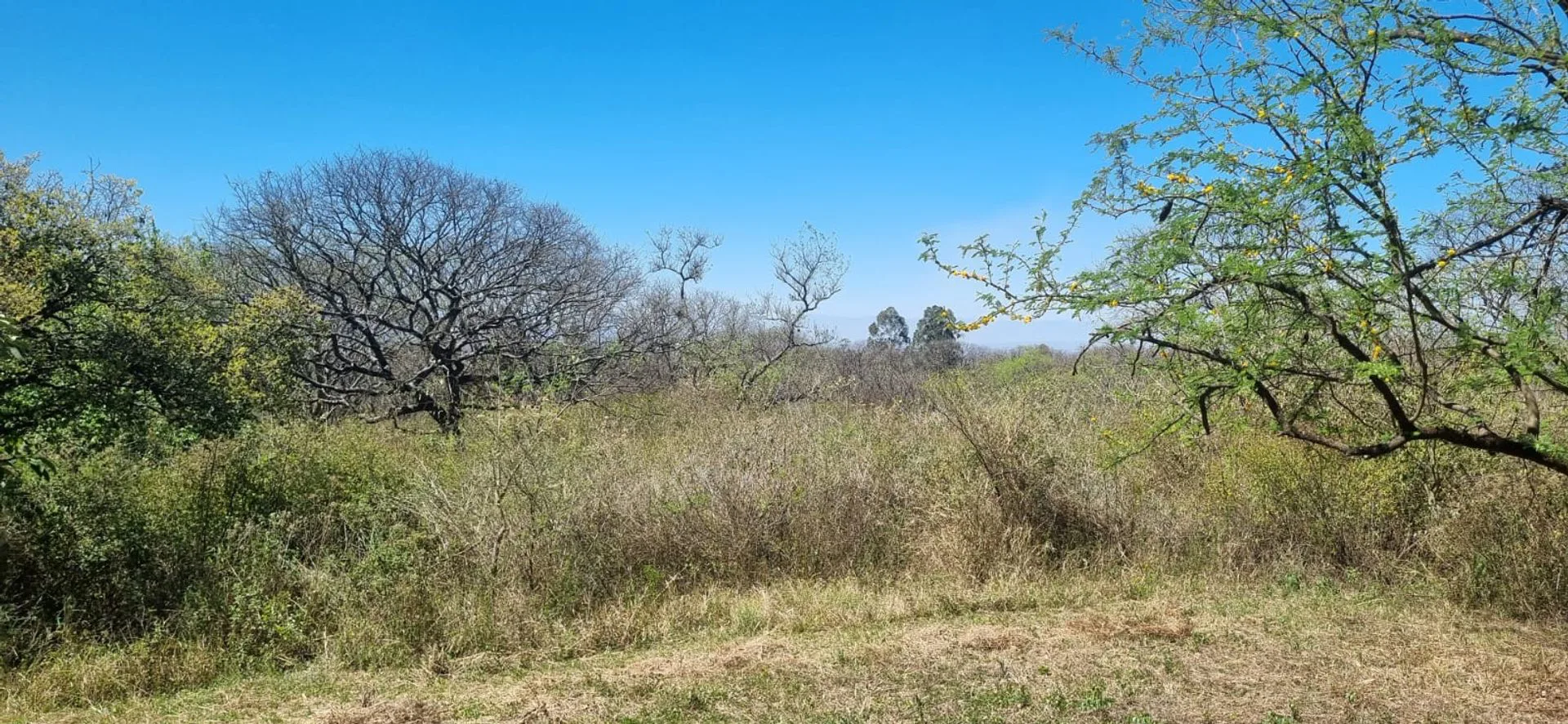 TERRENO EN VENTA EN LOMA HERMOSA, EL CEIBAL 600m2 foto 2